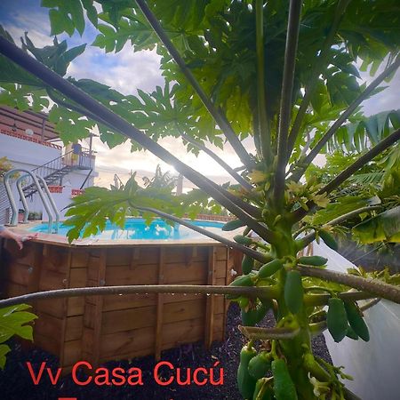 Casa Cucu Vila Tazacorte Exterior foto