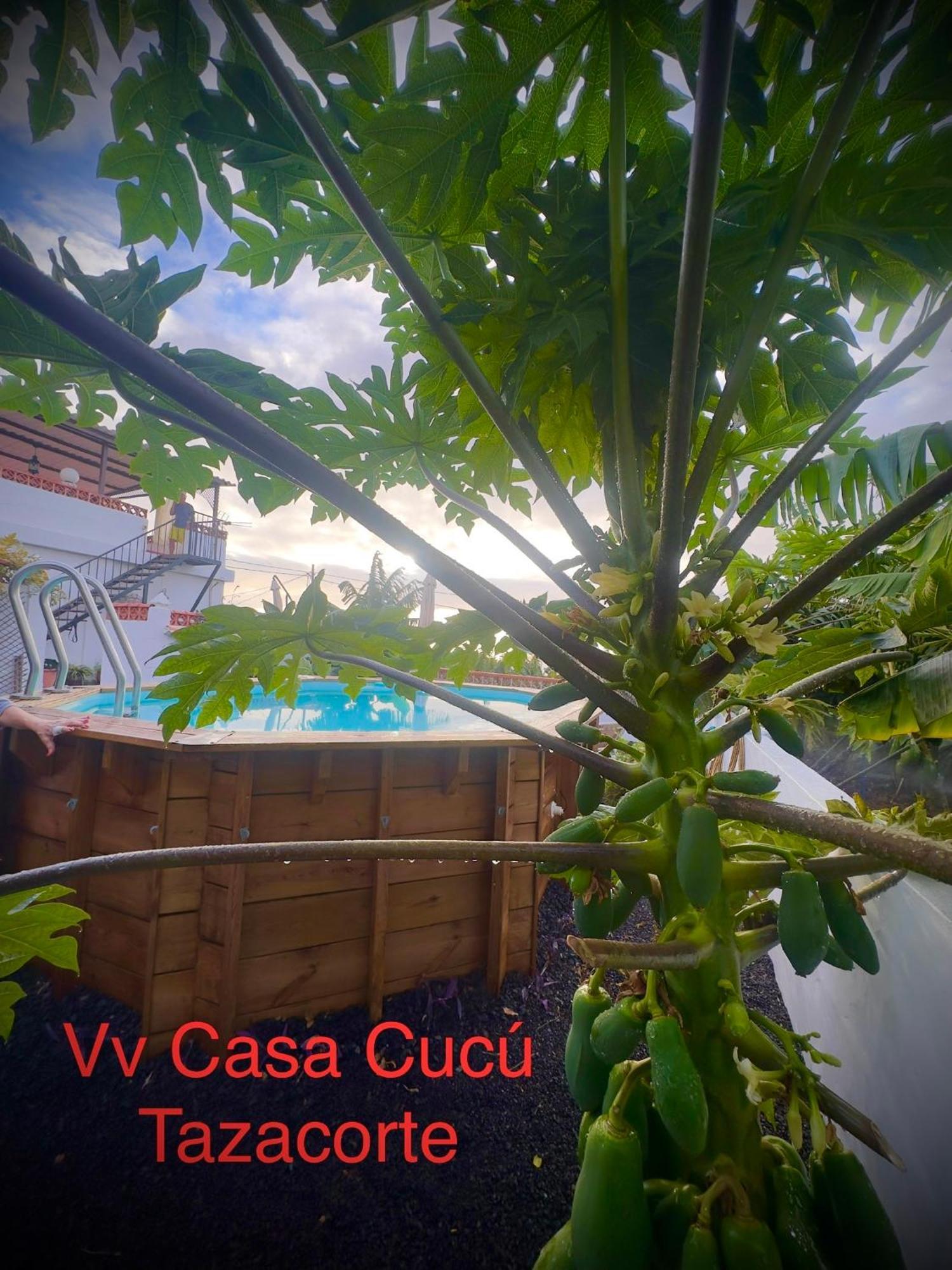 Casa Cucu Vila Tazacorte Exterior foto