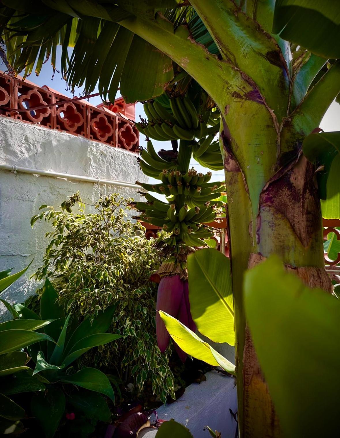 Casa Cucu Vila Tazacorte Exterior foto